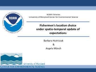 Fishermen's Location Choice under Spatio-Temporal Update of Expectations la vignette