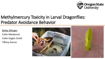 Methylmercury Toxicity in Larval Dragonflies: Predator Avoidance Behavior la vignette