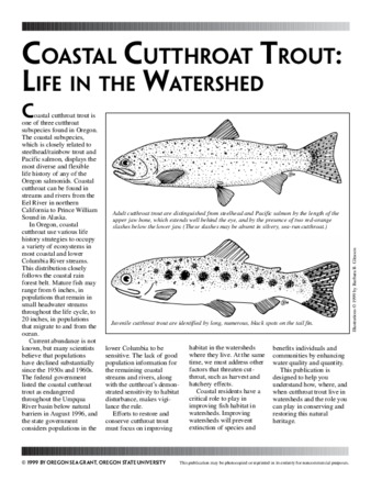 Coastal cutthroat trout : life in the watershed thumbnail