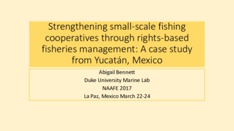 Strengthening Small-Scale Fishing Cooperatives through Rights-Based Fisheries Management: A Case Study from Yucatán, Mexico thumbnail