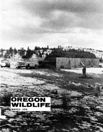 Oregon Wildlife; Vol. 31 No. 3 (March 1976) thumbnail
