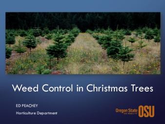 Weed Control in Christmas Trees miniatura