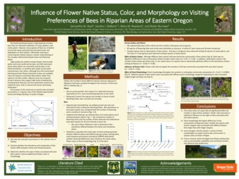 Influence of flower native status, color, and morphology on visiting preferences of bees in riparian areas of eastern Oregon 缩图