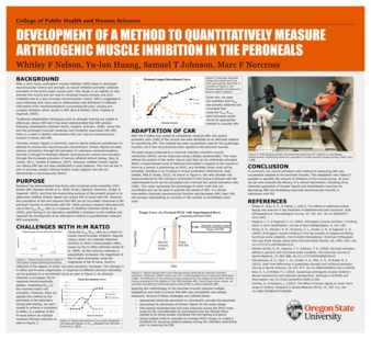 Development of a method to quantitatively measure arthrogenic muscle inhibition in the peroneals Miniaturansicht