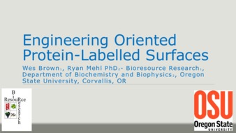 Engineering Oriented Protein-Labelled Surfaces Miniaturansicht