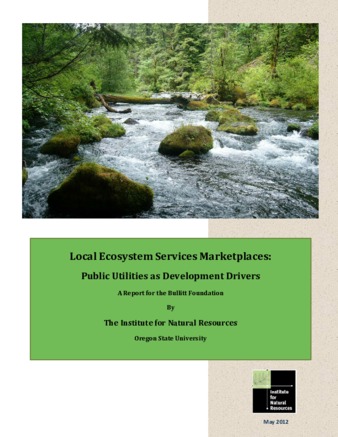 Local Ecosystem Services Marketplaces: Public Utilities as Development Drivers thumbnail