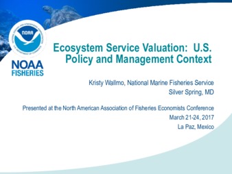 Ecosystem Service Valuation:  A U.S. Policy Context thumbnail