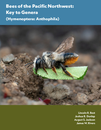 Bees of the Pacific Northwest : key to genera (Hymenoptera : Anthophila) thumbnail