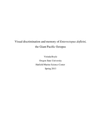 Visual discrimination and memory of Enteroctopus dofleini, the Giant Pacific Octopus thumbnail