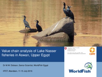 Value Chain Analysis of Fisheries in Aswan, Upper Egypt thumbnail